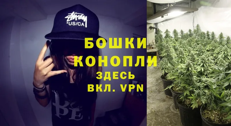 Канабис THC 21%  Барыш 